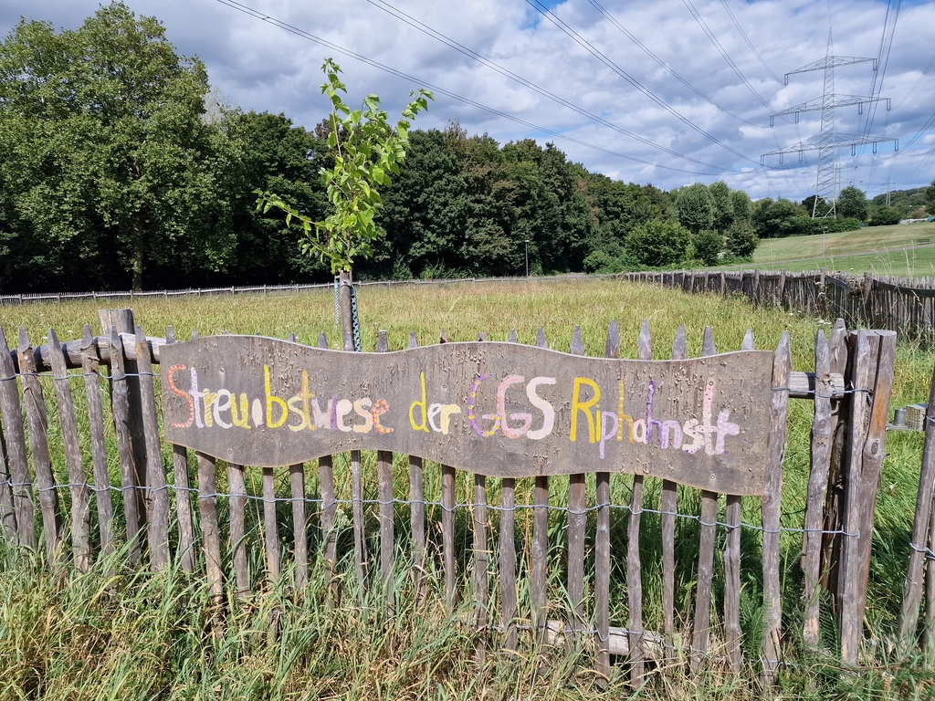 Streuobstwiese der Schule