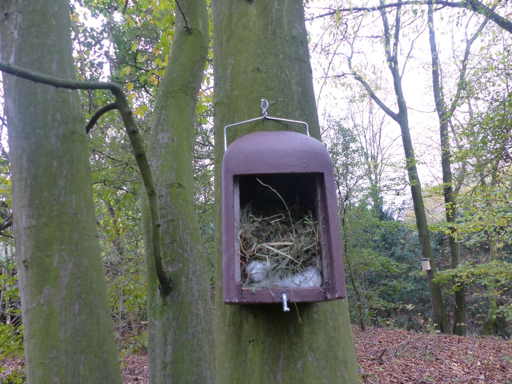 Vorbereiteter Nistkasten