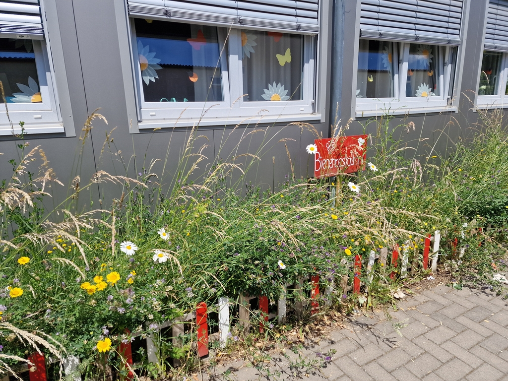 Wildbienenbeet GGS Riphahn