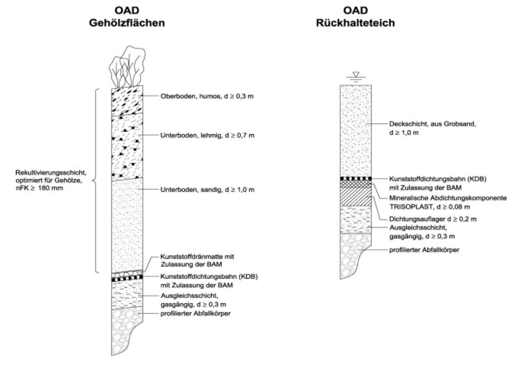 Altdeponie Butzweilerstraße: Offene Ruderalflächen 2