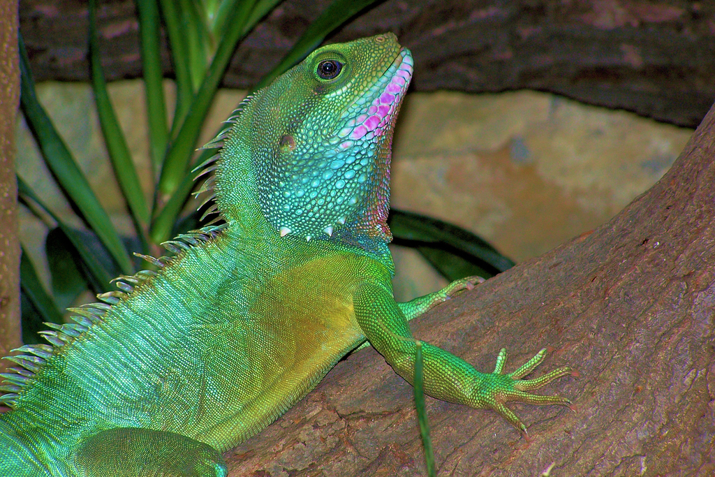 Link auf https://www.stadt-koeln.de/artikel/60982/index.html#ziel_0_95