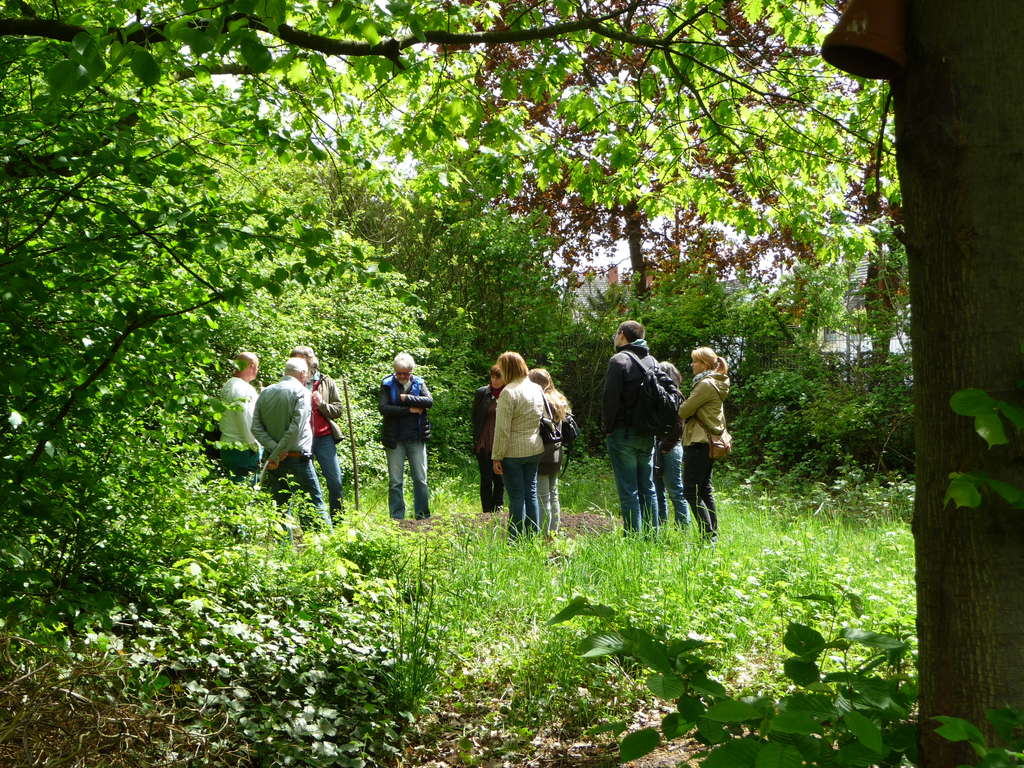 Workshop Gärtner mit Pänz