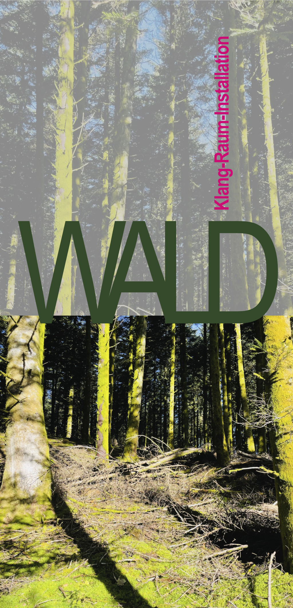 Blick in einen Wald. Auf dem Bild befindet sich der Schriftzug Klang-Raum-Installation Wald 