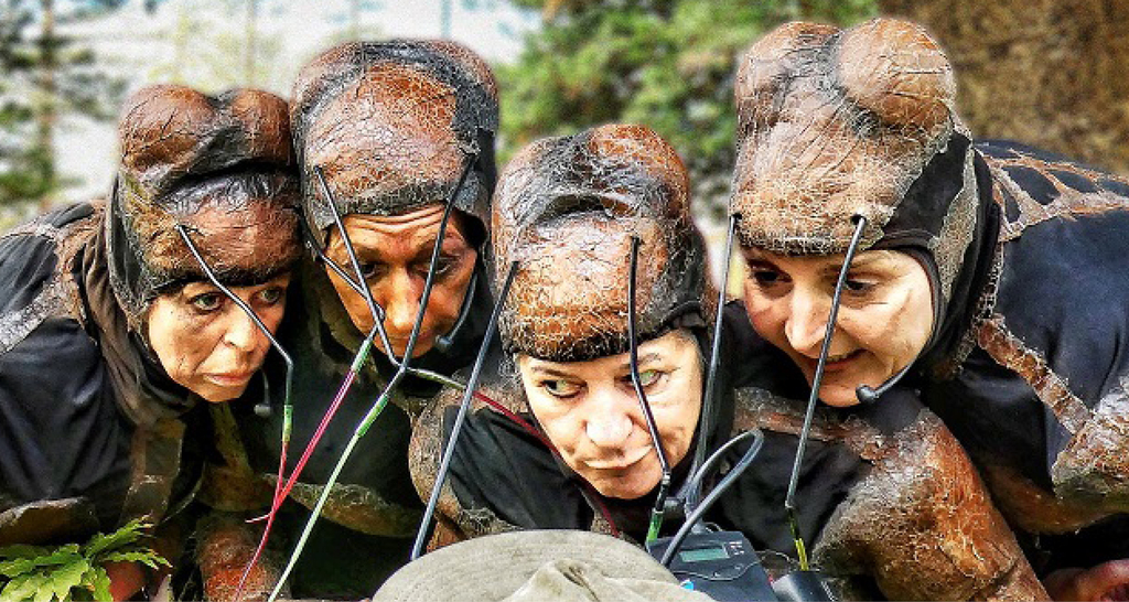 Vier Schauspieler*innen als Waldameisen verkleidet