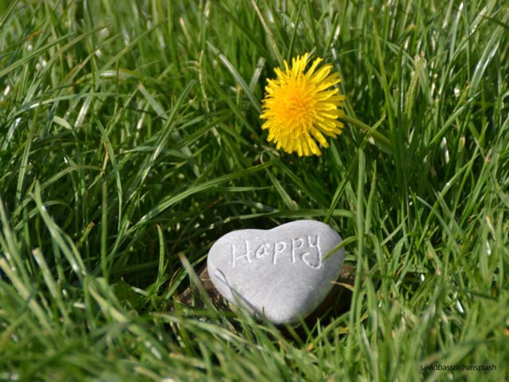 Grüne Wiese mit Butterblume und einem hellen Stein mit dem Schriftzug Happy