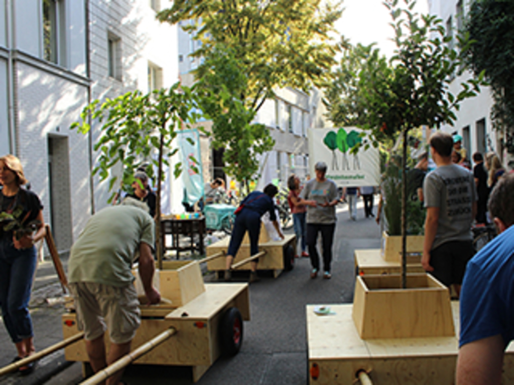 Wanderbaumallee Köln