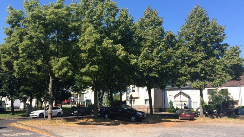 Blick auf den Parkplatz am Kellereiweg