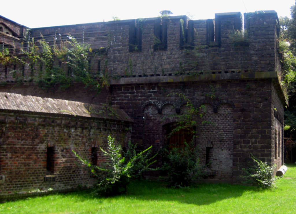Teile einer alten Mauer mit einer Wiese davor.
