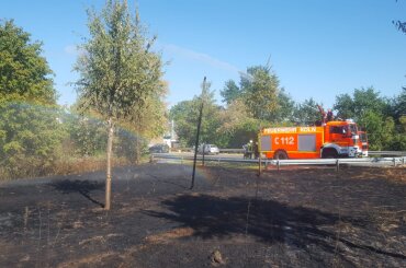 Vegetationsbrand in Roggendorf/Thenhoven. Im Hintergrund ist ein Feuerwehrauto von dem aus ein Vegetationsbrand gelöscht wird., © Stadt Köln
