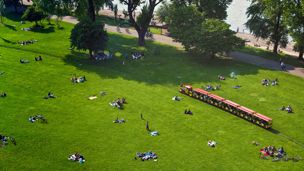 Wiese im Kölner Rheinpark. Auf der Wiese liegen Menschen und dazwischen fährt eine kleine Bahn.