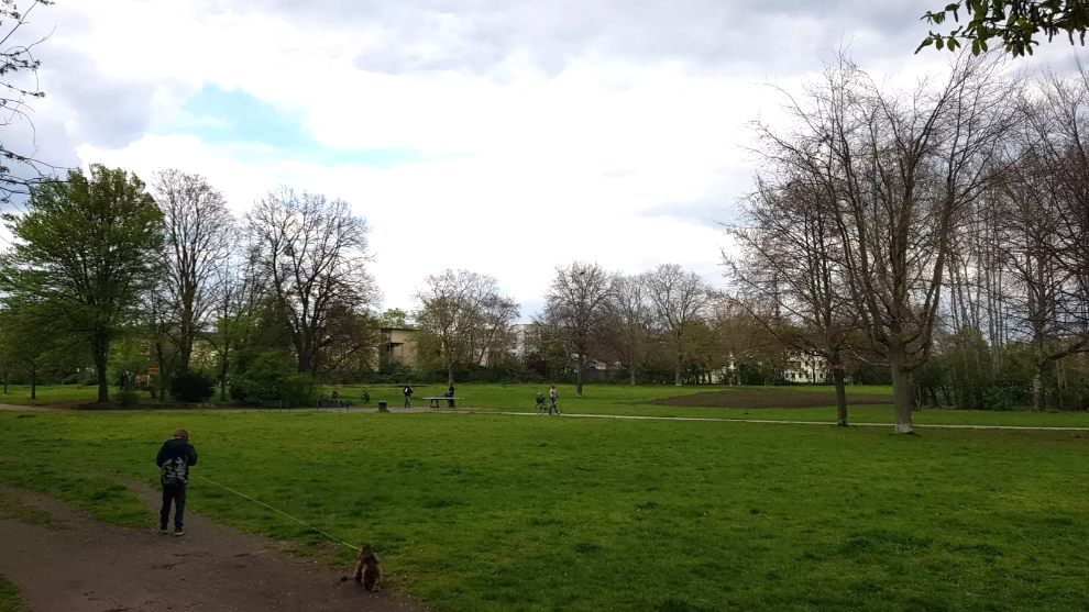 Johannes-Giesberts-Park in Kön-Nippes. Im Vordergrund geht eine Person mit einem Hund spazieren. Im Hintergrund schiebt eine Person ihr Fahrrad.