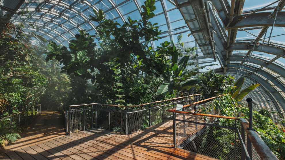 Die neuen Schaugewächshäuser und die Orangerie in der Kölner Flora bieten modernen Platz für tropische Pflanzen und Wüstenpflanzen. Die Aufnahme entstand nach der erfolgreichen Inbetriebnahme und technischen Optimierung des Ensembles in 2026.