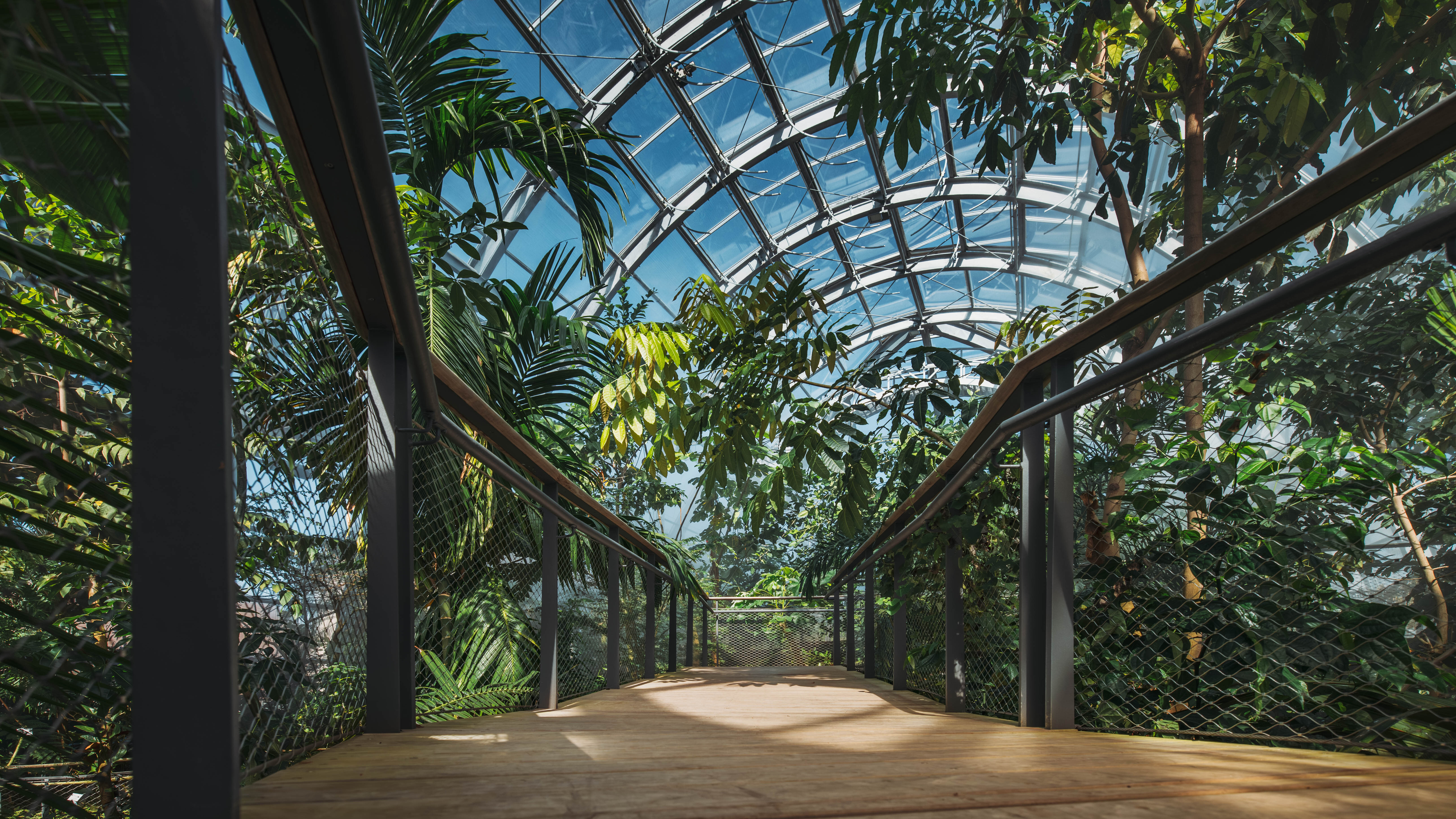 Die neuen Schaugewächshäuser und die Orangerie in der Kölner Flora bieten modernen Platz für tropische Pflanzen und Wüstenpflanzen. Die Aufnahme entstand nach der erfolgreichen Inbetriebnahme und technischen Optimierung des Ensembles in 2026.