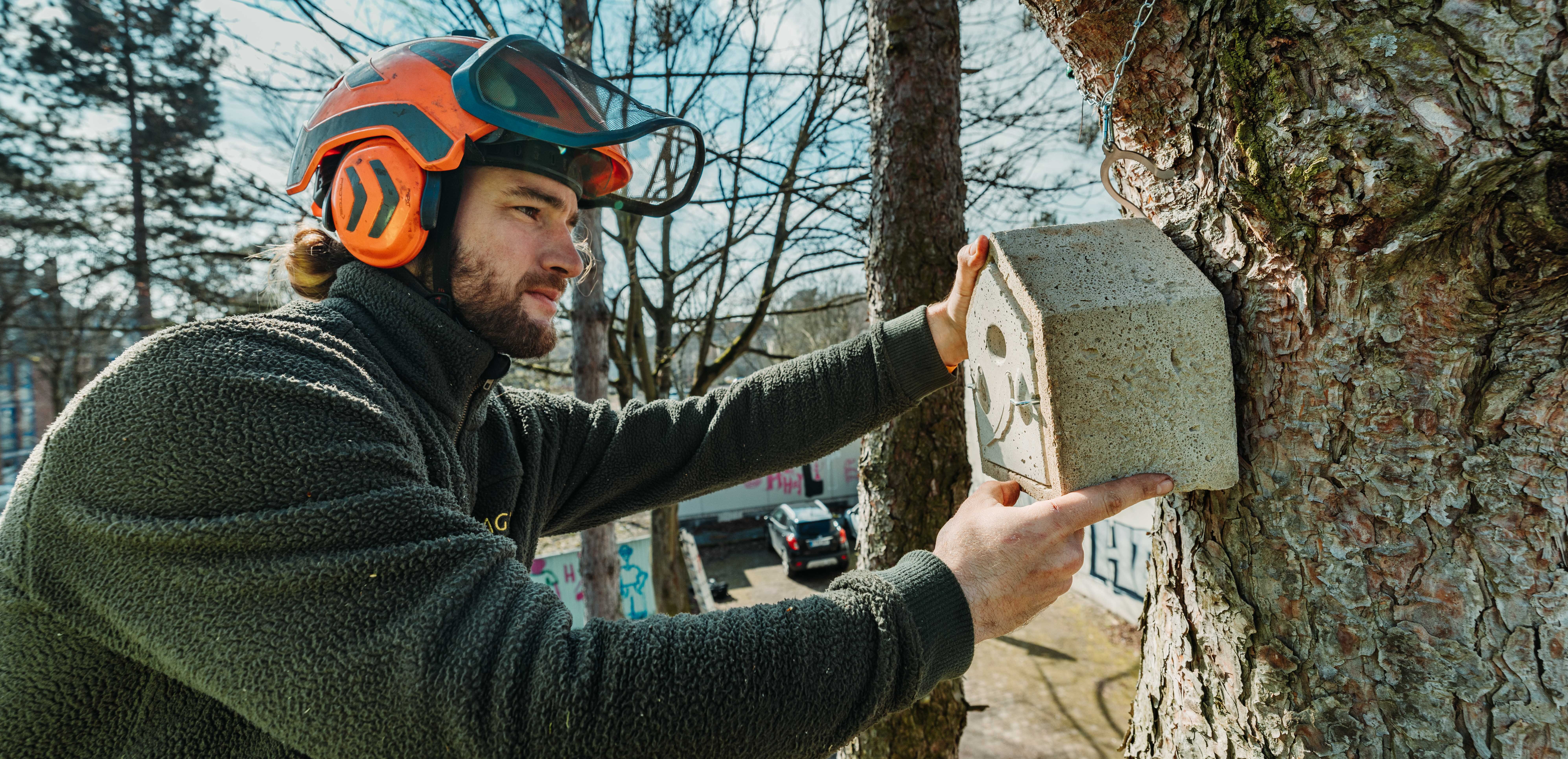 In Nähe der Baustelle, aber außerhalb dieser wird eine Nisthilfe für brütende Vogelarten angebracht, damit die Tiere ungestörte Bereiche finden und aufsuchen können.