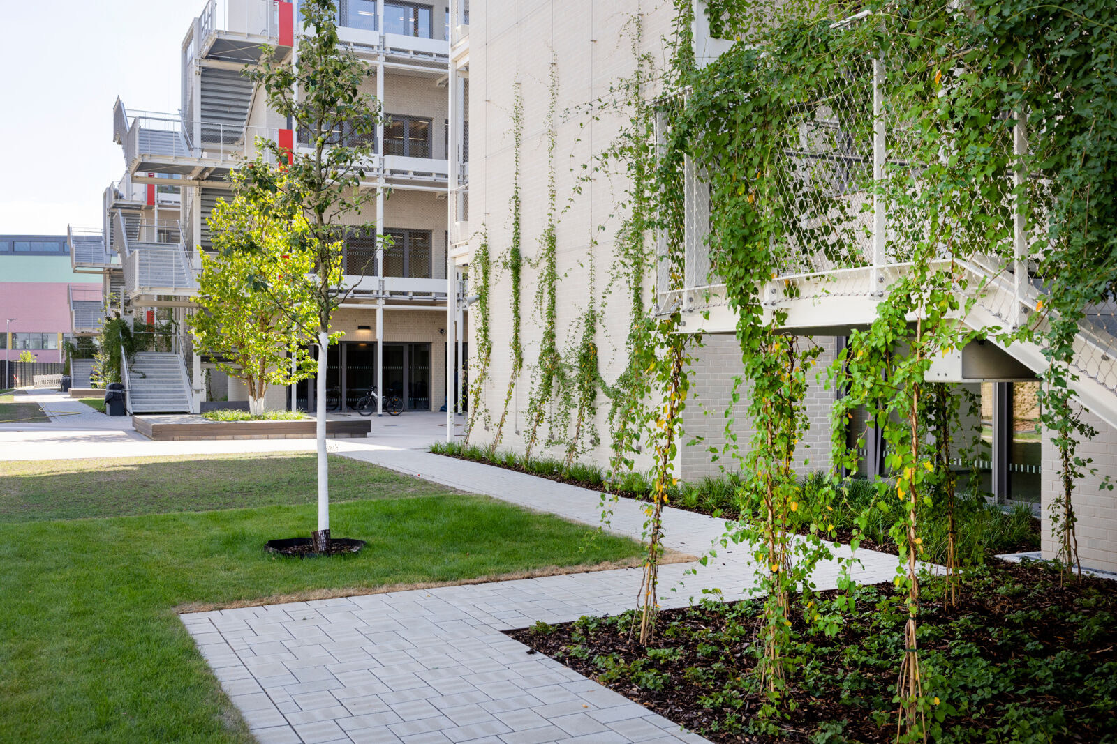 Neubau der Gesamtschule Ossendorf in der Fitzmauricestraße, © Michael Bause