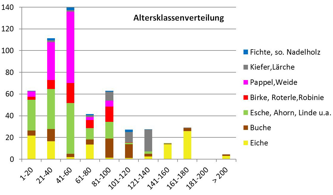 Altersklassenverteilung Bäume
