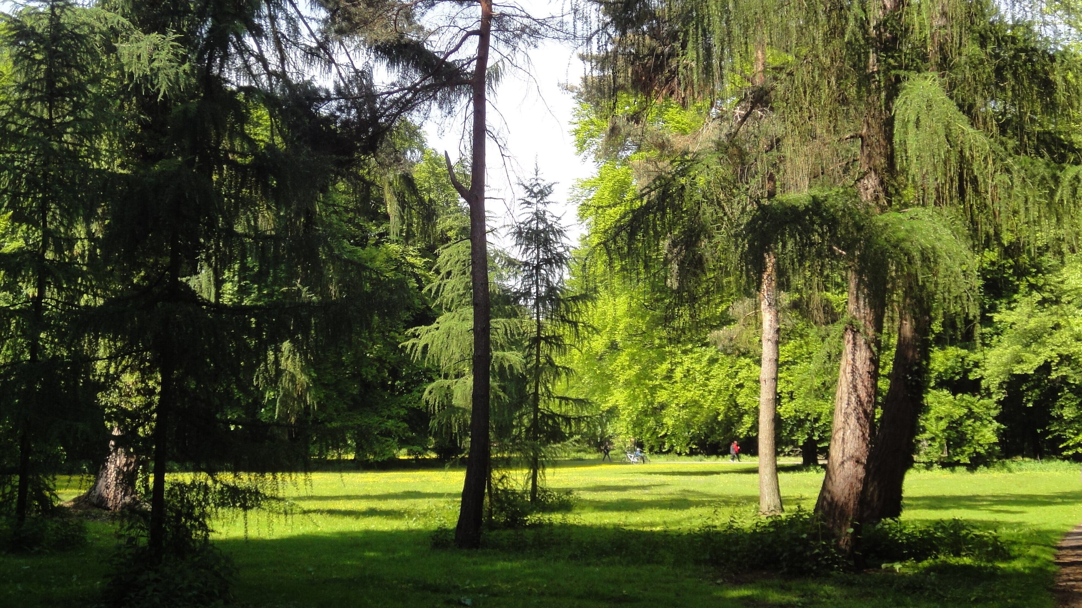 Stadtwald