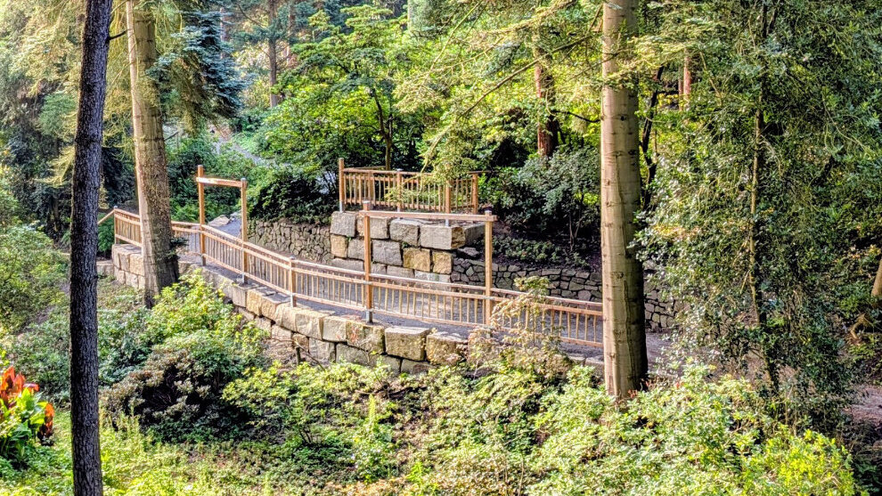 Ein Weg durch die Rhododendronschlucht