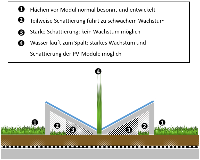Grafik begrüntes Dach mit Solarmodulen