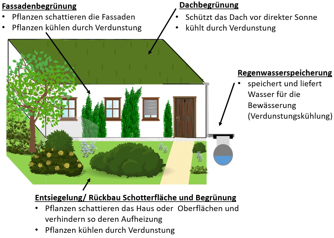 Grafik Grün Hoch 3 Reduktion Hitzebelastung