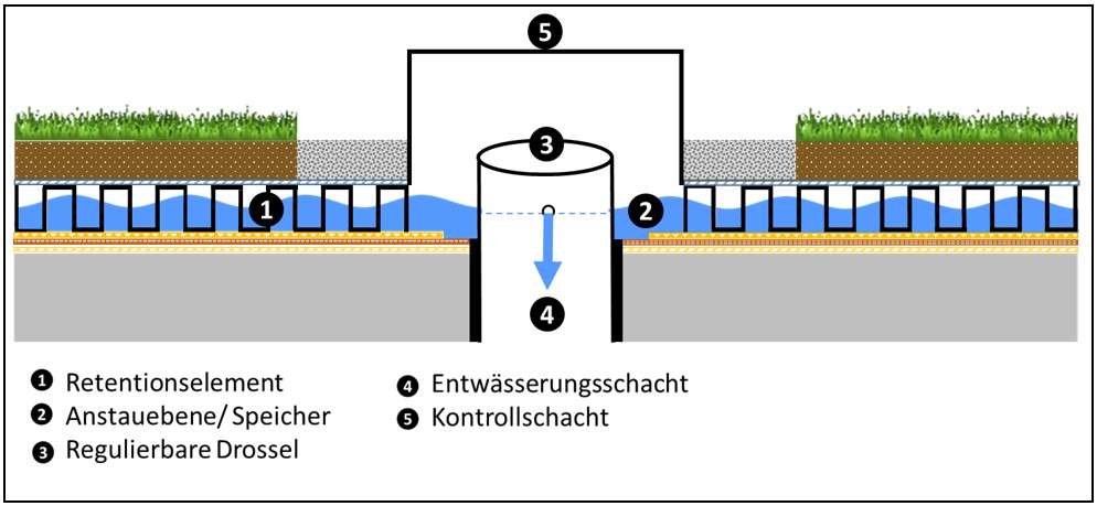 Grafik eines Retentionsgründach