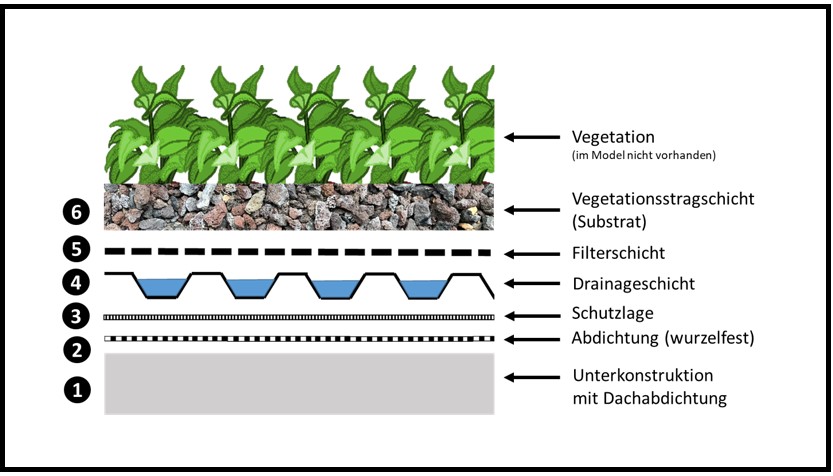 Schichtaufbau einer Dachbegrünung